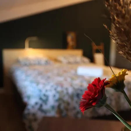 Porcus Campus * Aarle-Rixtel