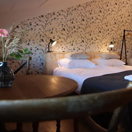 Porcus Campus Hotel *