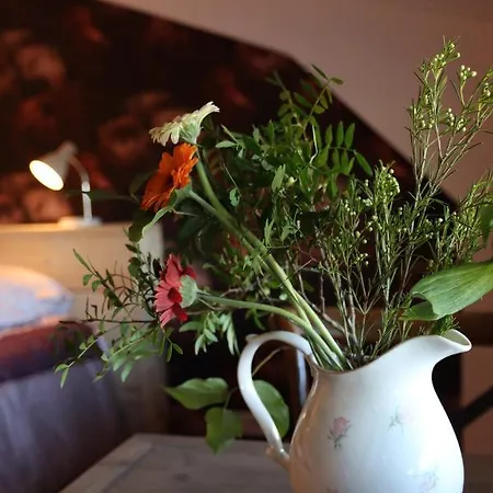 Porcus Campus * Aarle-Rixtel