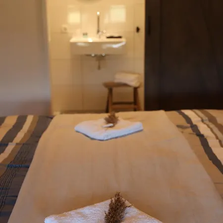 Porcus Campus Aarle-Rixtel