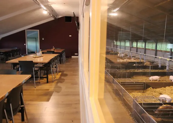 Porcus Campus * Aarle-Rixtel