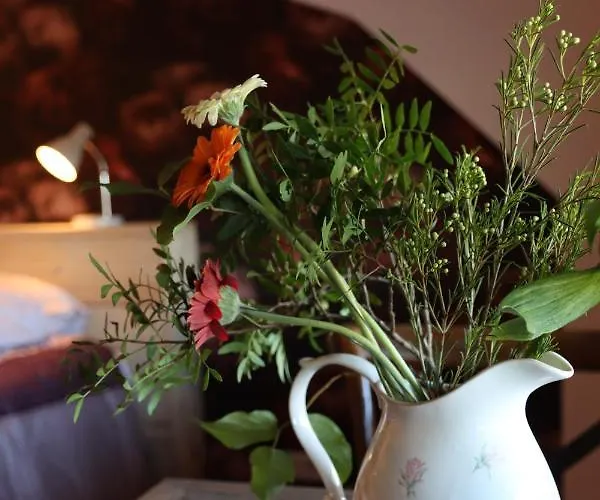 Porcus Campus * Aarle-Rixtel