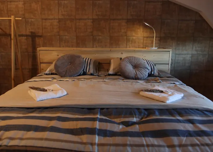 فندق Porcus Campus