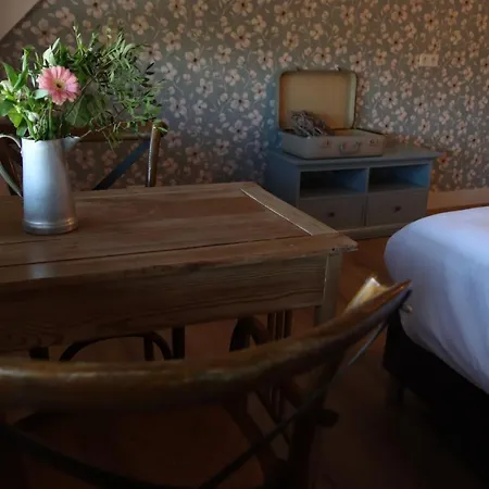 Porcus Campus Hotell *