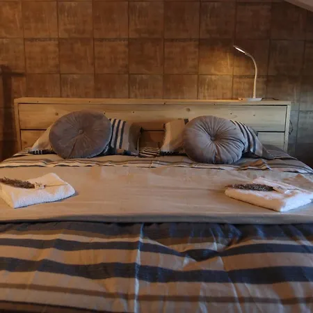 Hotell Porcus Campus