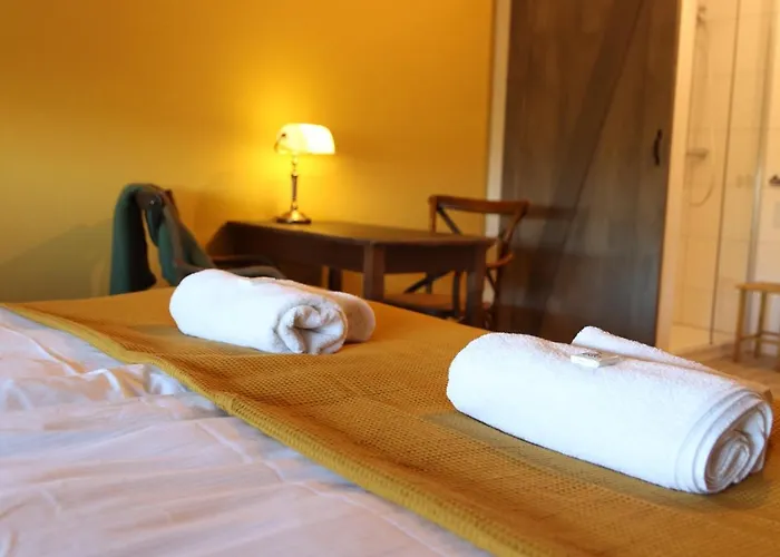 Porcus Campus Hotell