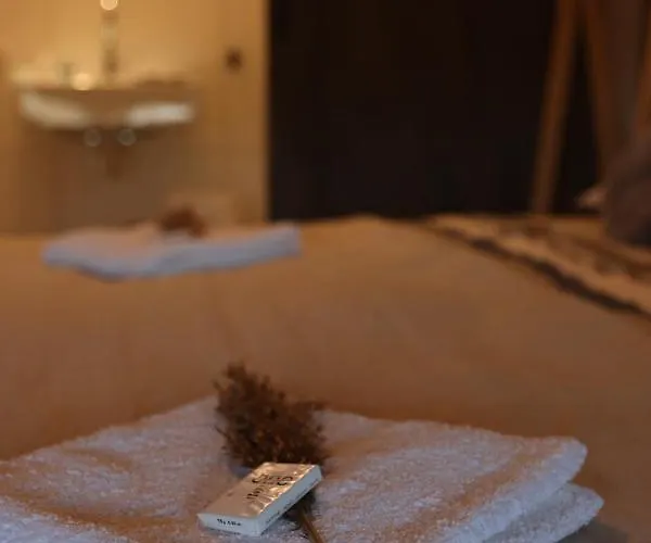 Hotell Porcus Campus Aarle-Rixtel